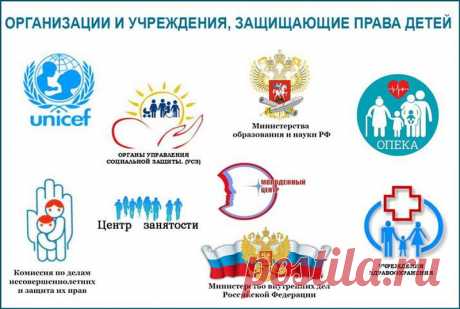 Вера Переселенцева призвала ВС Российской Федерации рассмотреть дело об алиментах по существу

Она встала на защиту всех детей Российской Федерации, которые при достижении совершеннолетия могут быть лишены имущества в виде задолженности по алиментам, неустойки, и индексации и стать заложниками порой недобросовестных действий родителей.