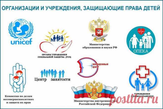 Вера Переселенцева призвала ВС Российской Федерации рассмотреть дело об алиментах по существу

Она встала на защиту всех детей Российской Федерации, которые при достижении совершеннолетия могут быть лишены имущества в виде задолженности по алиментам, неустойки, и индексации и стать заложниками порой недобросовестных действий родителей.