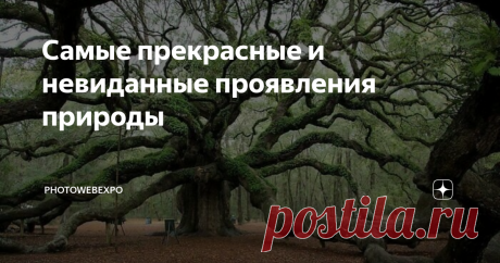 Самые прекрасные и невиданные проявления природы Лето все ближе: леса и луга, а также окрестности и сады снова расцветают, наполняются жизнью и цветом, передавая нам позитивные флюиды. Но если по какой-то причине вы не можете выйти на улицу, чтобы насладиться всей этой красотой, вы можете насладиться этой интересной фото-подборкой прекрасный проявлений нашей природы. Конечно, это не настоящая погода в проснувшимся после зимы парке, но хоть что-то :) Здесь нетипичные снимки...
