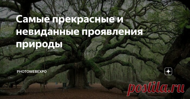 Самые прекрасные и невиданные проявления природы Лето все ближе: леса и луга, а также окрестности и сады снова расцветают, наполняются жизнью и цветом, передавая нам позитивные флюиды. Но если по какой-то причине вы не можете выйти на улицу, чтобы насладиться всей этой красотой, вы можете насладиться этой интересной фото-подборкой прекрасный проявлений нашей природы. Конечно, это не настоящая погода в проснувшимся после зимы парке, но хоть что-то :) Здесь нетипичные снимки...