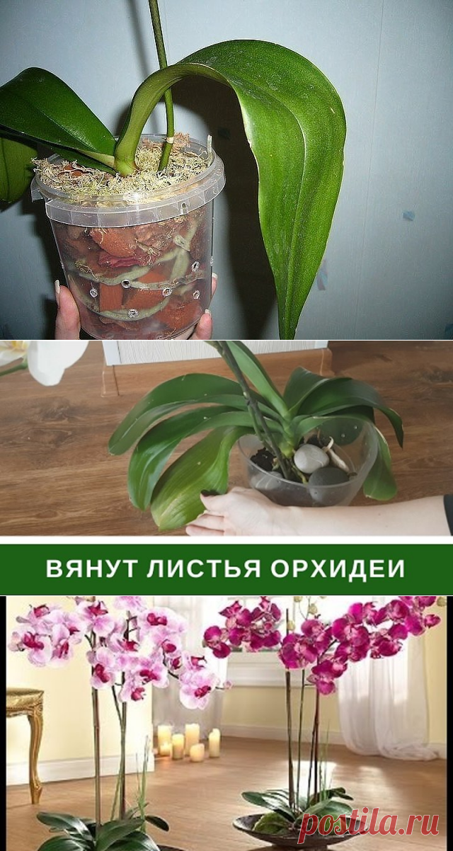 ПЕРЕСАДКА