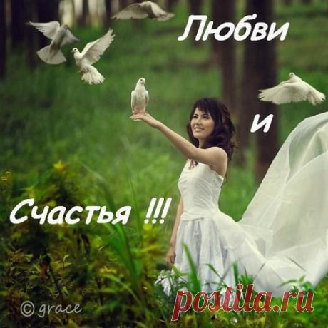 Ангел мой, любовь моя тайная,
Снова слышу твои шаги.
Не ходи ко мне, золотая моя,
Сохрани себя, сбереги.
Для тебя я был – Микеланджело,
Но во мне сатаны стрела:
Когда демон целует ангела,
Он сжигает его дотла.
Илья Сельвинский