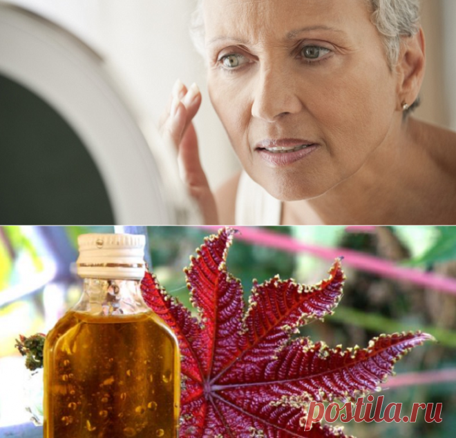 В свои почти 60 лет я не имею морщин вокруг глаз. Касторовое масло помогает мне в омоложении | Блоггерство на пенсии | Яндекс Дзен