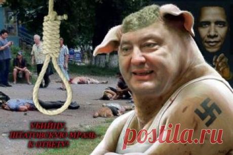 Самые интересные новости со всего мира