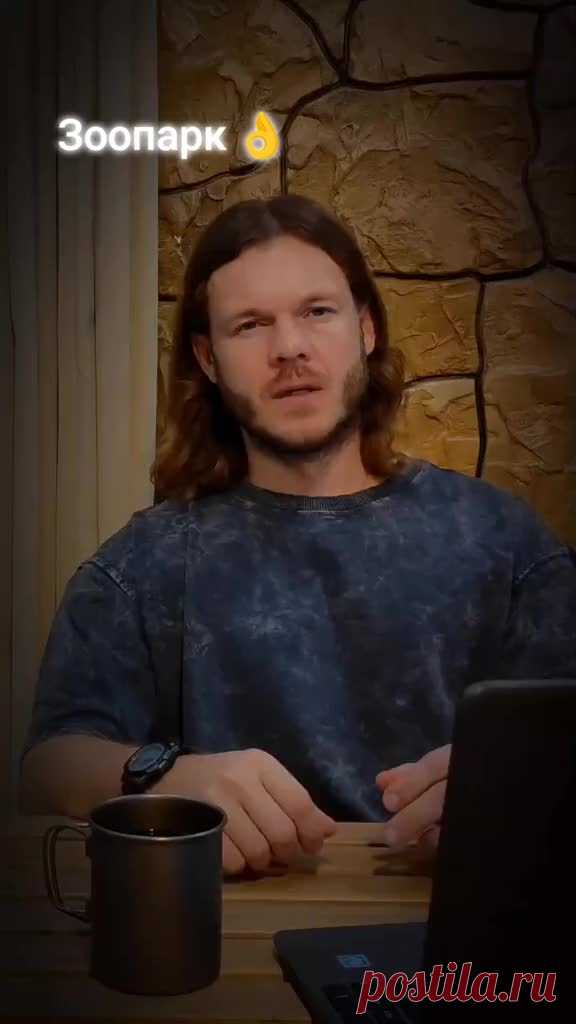 😉😅 (видео)