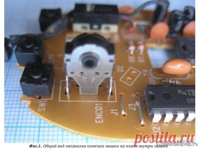 Разбираем мышку с познавательной целью и, наверное, ремонта Итак, Вы поймали мышу, но в самый не подходящий момент, она преждевременно накрылась. И что теперь делать? Ну в самом деле, не гнать же тогда в ближайший магазин компьютерной техники, ведь зима на дворе, снег по уши, ну и еще тысяча причин. Сейчас в новостях слышали что? Так что придется уметь все