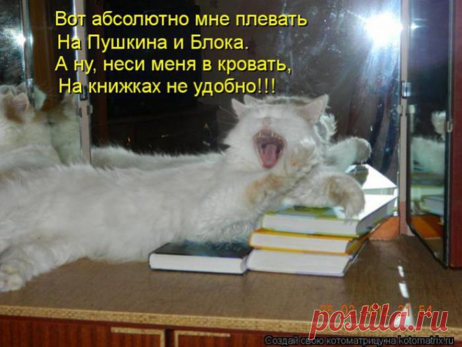 Не люблю поэзию.