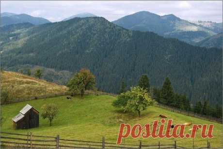 (10) Facebook
