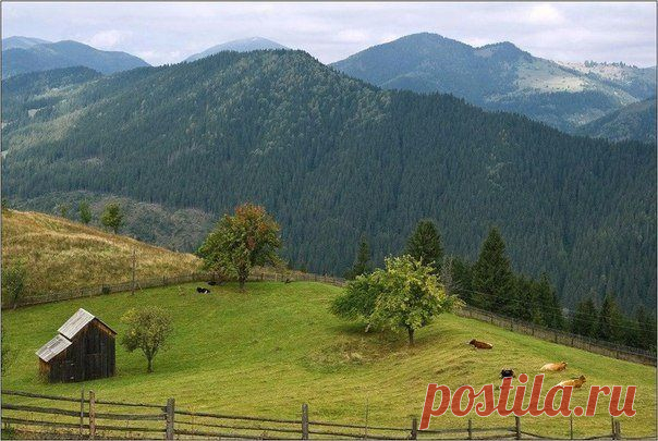 (10) Facebook