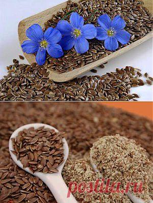 Льняное семя польза и вред, как принимать, применение семян | семиделка.ру