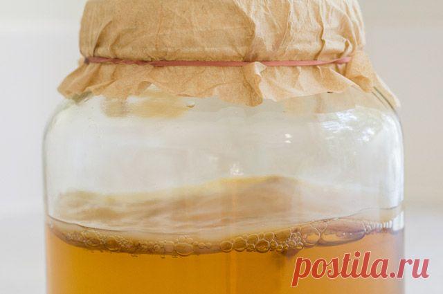 Что такое чайный гриб и чем он полезен? ​АиФ.ru отвечает на популярные вопросы читателей.