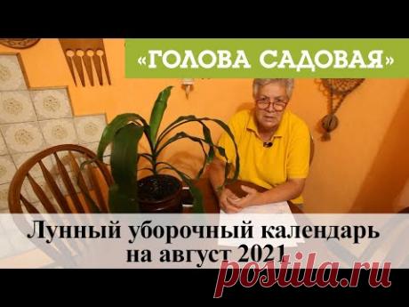 Голова садовая - Лунный уборочный календарь на август 2021
