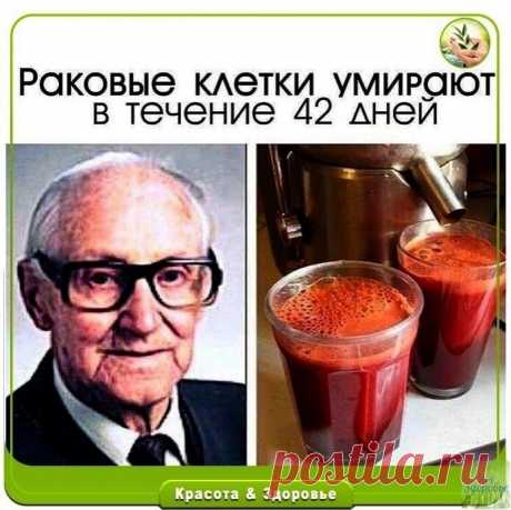 Раковые клетки умирают в течение 42 дней: Сок по рецепту от знаменитого австрийца спаc 45 000 людей от рака и других неизлечимых болезней!
 
Сохраните себе
 
Рудольф Бройc, врач из Австрии, фактически всю свою жизнь посвятил обнаружению самых лучших природных средств лечения рака.
 
Он нашел рецепт этого уникального сока, который обеспечивает исключительныe результаты в борьбe с раком. Он излечил болee 45 000 человек, которыe боролись с раком и другими неизлечимыми заболев...