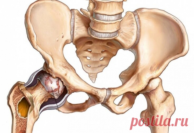 5 упражнений для поддержания и развития подвижности тазобедренного сустава. | health and beauty | Яндекс Дзен