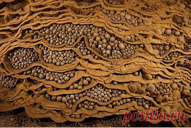 Подземный мир, обнаруженный случайно