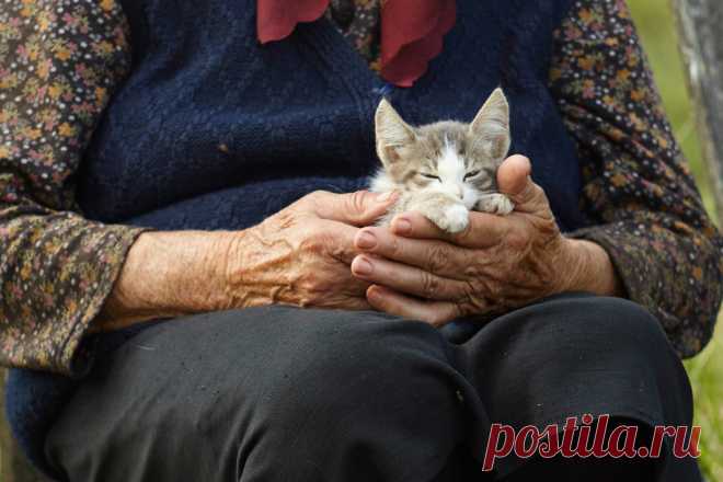 Бабушка и Добрый человек &raquo; Женский Мир