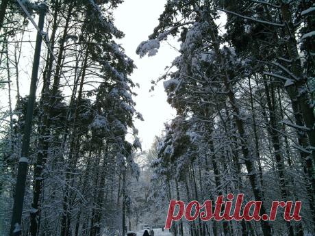 В зимнем парке...