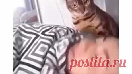 Хорош спать! Васенька кушать хочет!