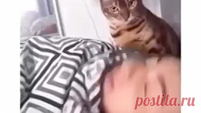 Хорош спать! Васенька кушать хочет!