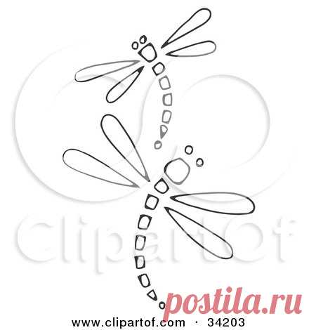 Two Black And White Dragonflies With Sectioned Bodies, Curving In Opposite Directions Posters, Art Prints by C Charley-Franzwa - Interior Wall Decor #34203