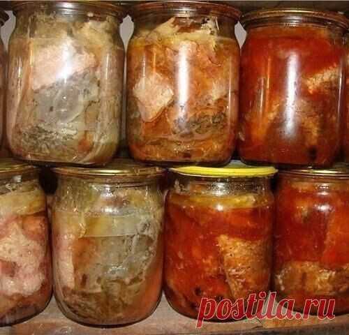 9 уникальных рецептов консервирования рыбы — ✔️ Копилка моих идей!