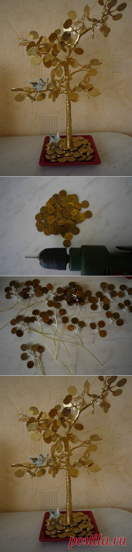 Денежное дерево.
