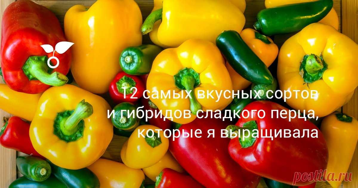 12 самых вкусных сортов и гибридов сладкого перца, которые я выращивала В этой статье я расскажу о 12 самых вкусных сортах и гибридах сладкого перца, которые я выращивала лично и буду выращивать в будущем за их неприхотливость и отличный вкус.