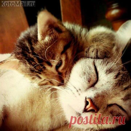 Мамочка , когда же я услышу конец сказки ?