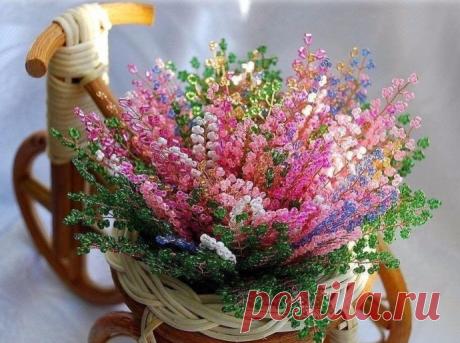 Разноцветный вереск