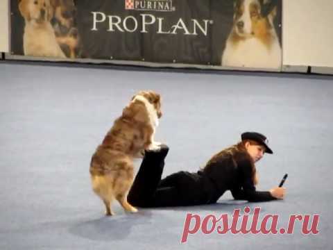 Freestyle Dog Dancing - Vanda Gregorova & All That Brandy Gentle Mate