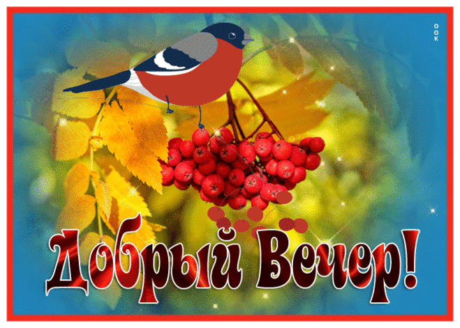 Чудесная картинка добрый вечер с птичкой и рябиной