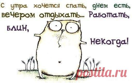 Мой Мир@Mail.Ru