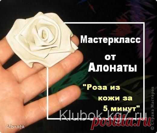 кожа