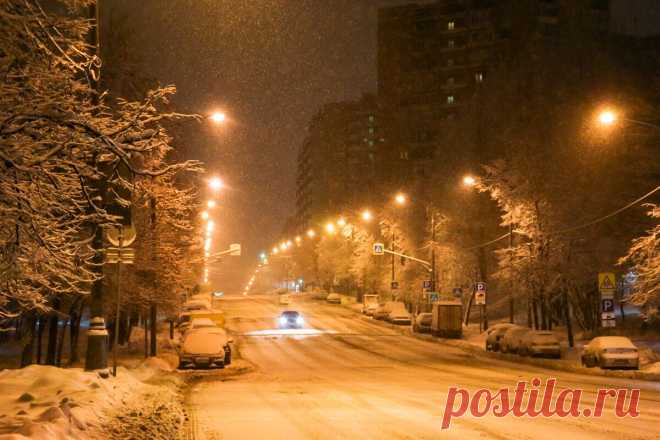 Яндекс Картинки: поиск похожих изображений