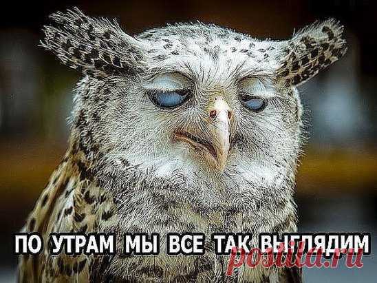 =)) точно