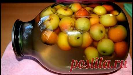 КОМПОТ ИЗ РАНЕТОК ( Заготовки на зиму)