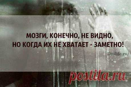 (5) Facebook
