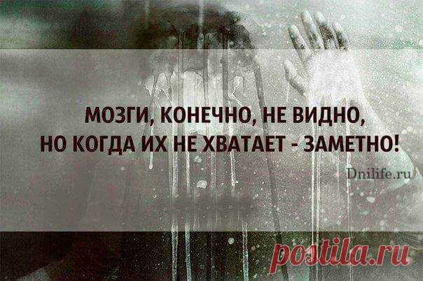 (5) Facebook