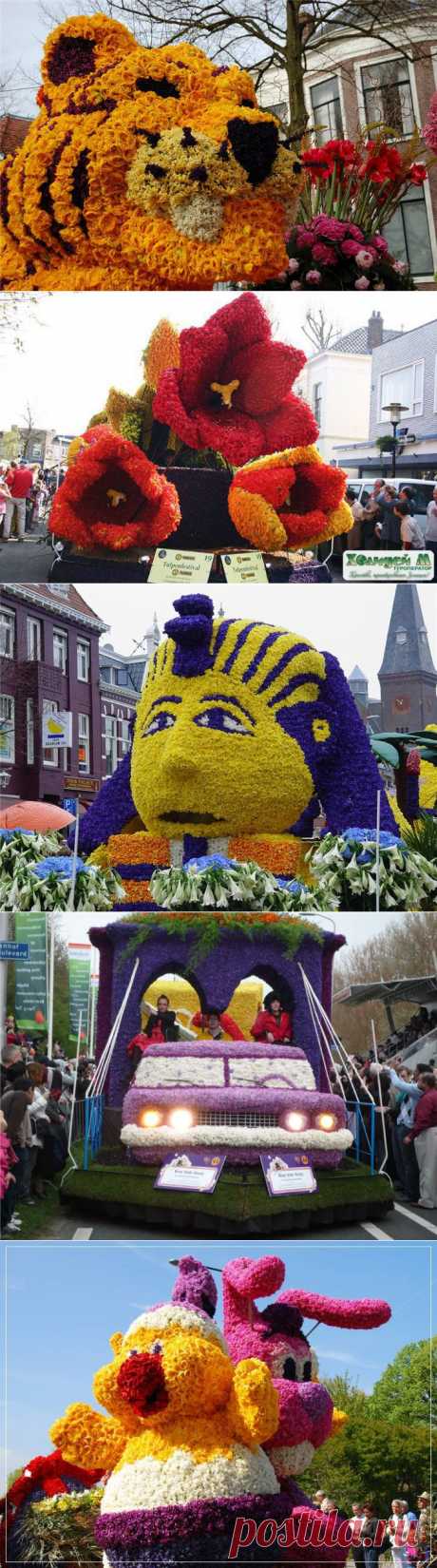 Вокруг Света: Парад цветов в Аалсмеере (Голландия)