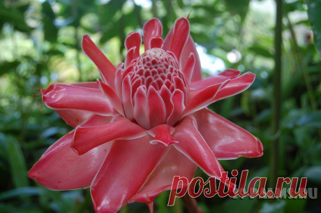 29 Пальм - Клуб путешествий Павла Аксенова > Карибы – 2013