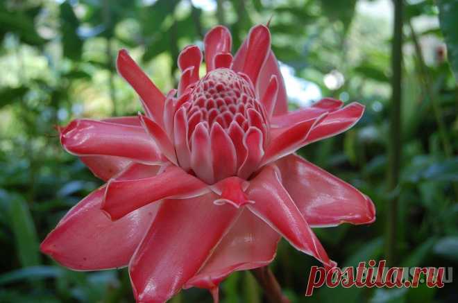 29 Пальм - Клуб путешествий Павла Аксенова > Карибы – 2013