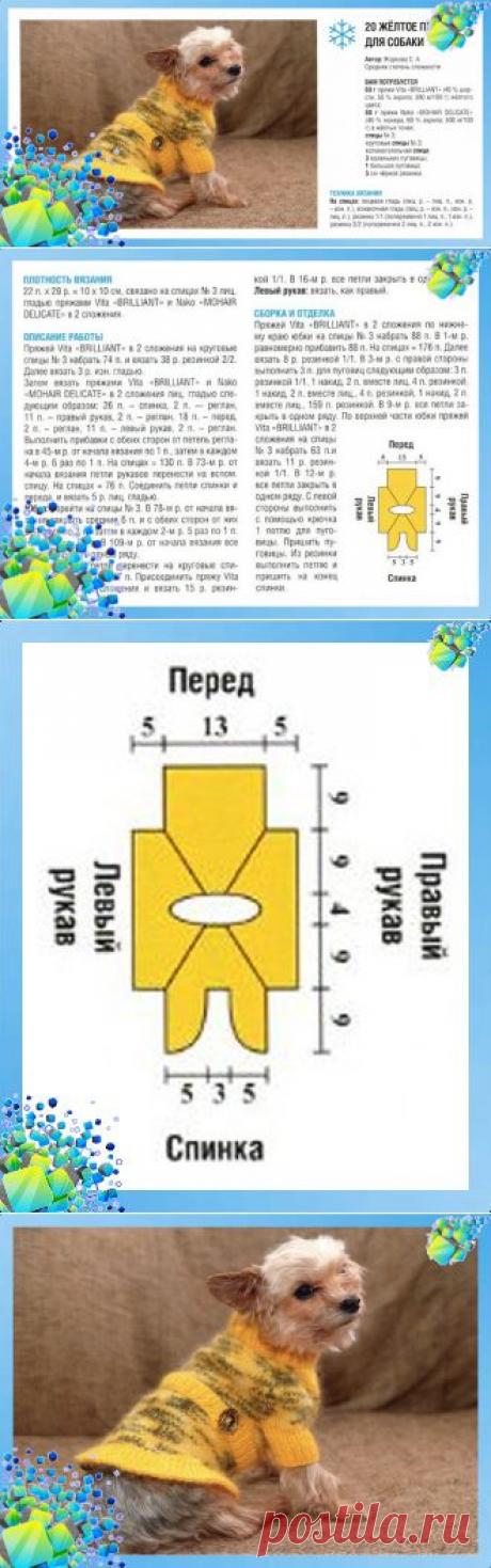 Вязанное платье для собаки желтого цвета