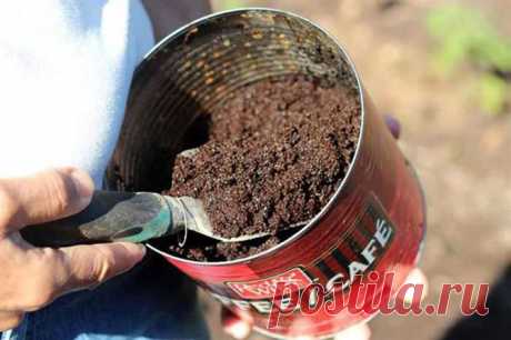 ВСЕ ДЛЯ ДОМА И ДАЧИ: Дачные хитрости со всего света