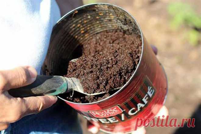 ВСЕ ДЛЯ ДОМА И ДАЧИ: Дачные хитрости со всего света