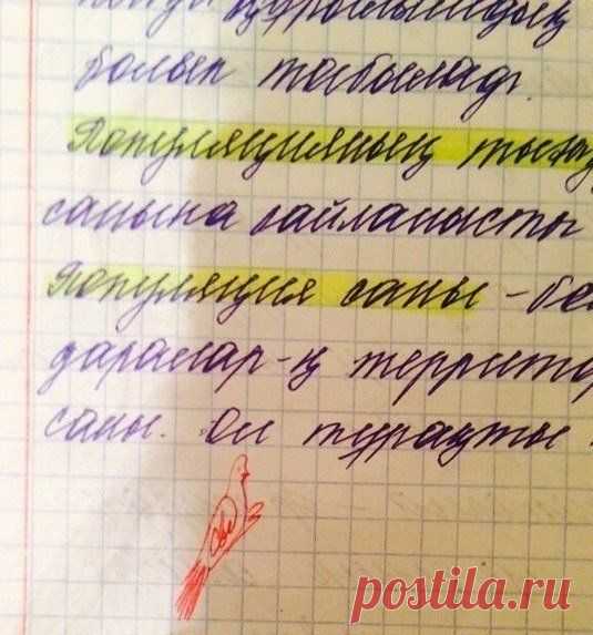 Подпись преподавателя по экологии / Взлом логики