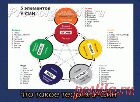 Что такое теория  У-Син «Природа всегда права и мудра, если даже мы ее и понимаем недостаточно»- так сказал Гёте. Невозможно с ним не согласиться, особенно когда начинаешь понимать, что такое теория У-Син, или теория Пяти Первоэлементов. На Востоке считают, что Пять Первоэлементов (основных преобразований потока энергии) произошли  в результате взаимодействия Инь и Ян . (Что такое учение Инь-Ян— можно почитать здесь). Другие  названия...