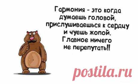 Интересные новости