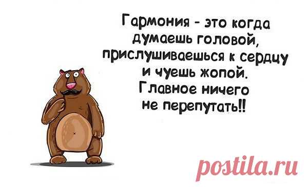 Интересные новости