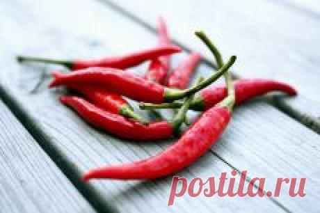 Письмо «❀ Схемы мотивов крючком. Антираковые специи. Переросшая рассада. Бахор. Книга, которая научит вас зарабатывать.  подарочное предложение от maximarkets. Голливудские приёмы. Молитвы от бедности // Кусочек Постилы к чаю!» — Постила — Яндекс.Почта