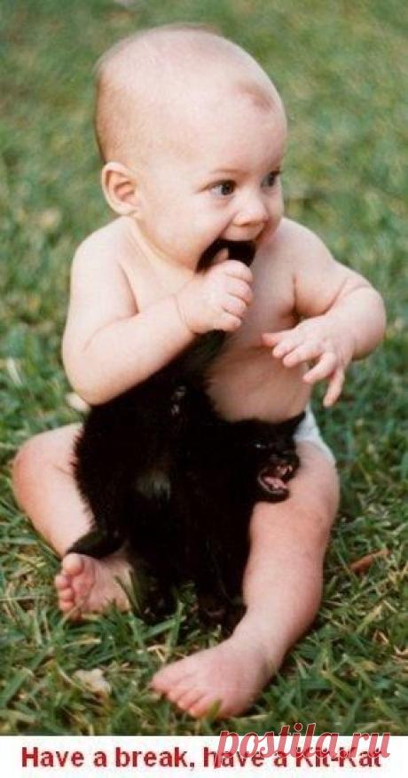 Babies and kitties? The ultimate cute (16 photos)